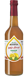 Bio Ginger Ingwer Sirup