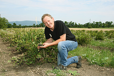 andreas schaefer